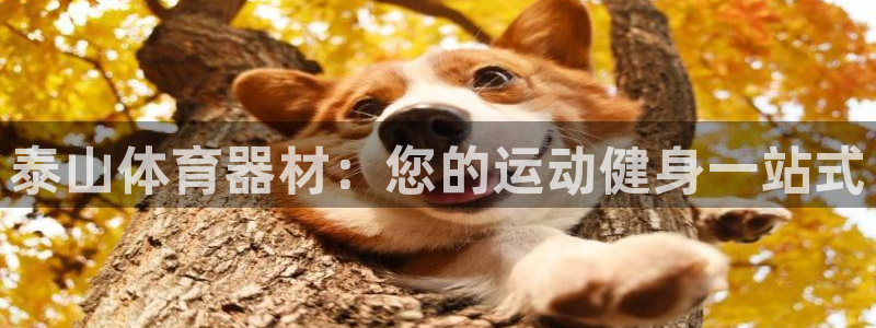 星欧娱乐发7O777：泰山体育器材：您的运动健身一站