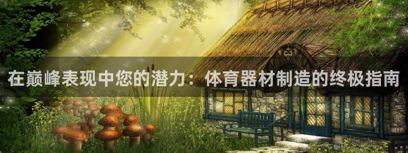 星欧娱乐扣款：在巅峰表现中您的潜力：体育器材制造的终