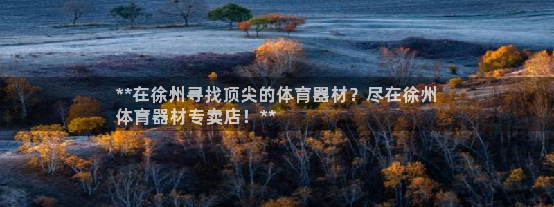 星欧娱乐扣款流程详解图片大全：**在徐州寻找顶尖的体