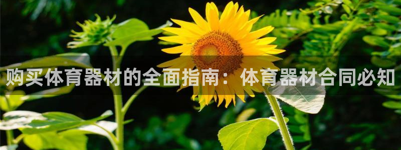 星欧娱乐彩票软件下载安卓：购买体育器材的全面指南：体