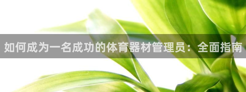 星欧娱乐属于什么档次的公司名称：如何成为一名成功的体
