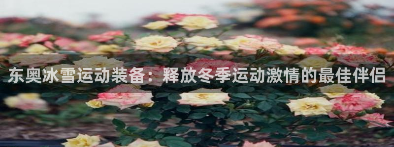 江苏星奥娱乐招艺人：东奥冰雪运动装备：释放冬季运动激