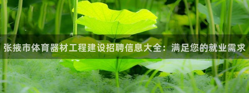 星欧娱乐扣款时间查询方法怎么查的：张掖市体育器材工程