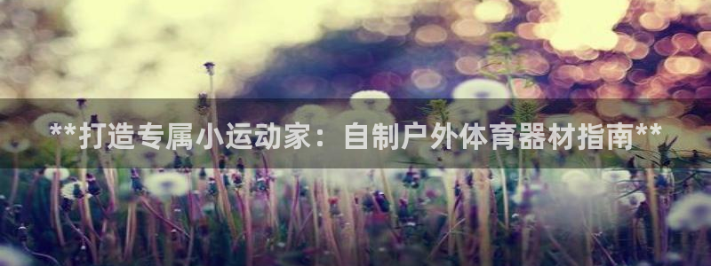 星欧娱乐挂机教程视频：**打造专属小运动家：自制户外