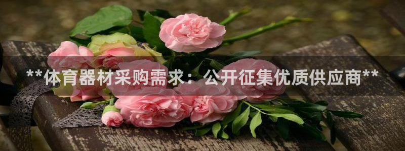星奥娱乐集团股份有限公司招聘：**体育器材采购需求：