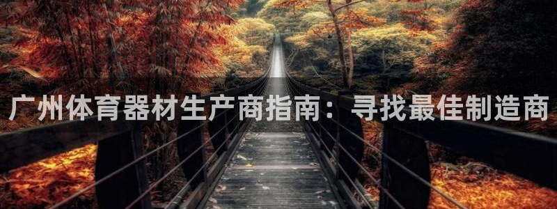 星欧娱乐扣款时间查询方法怎么查不到：广州体育器材生产
