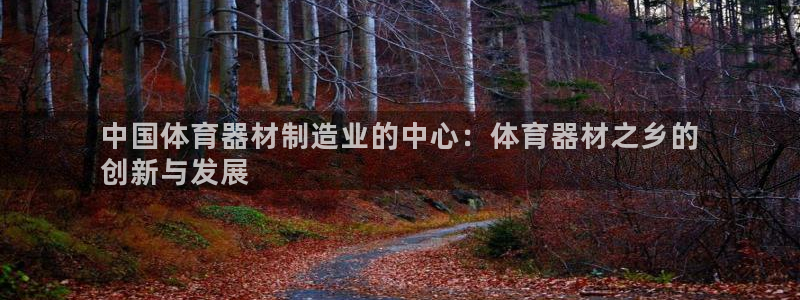 星欧娱乐联售后服务评价：中国体育器材制造业的中心：体