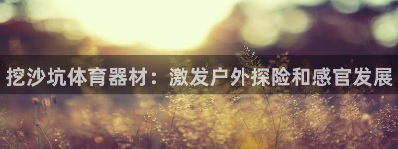 星欧娱乐挂机教程：挖沙坑体育器材：激发户外探险和感官