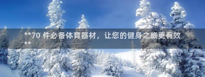 星欧娱乐工711.11是正规的吗：**70 件必备体