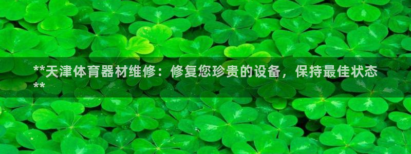 星欧娱乐最建议买的三个产品：**天津体育器材维修：修