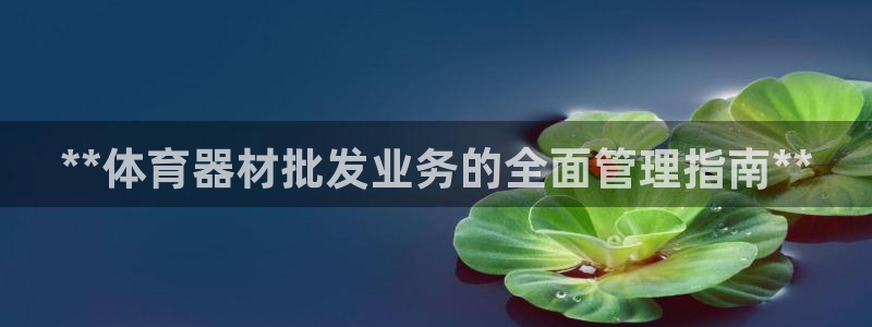 星欧娱乐测速怎么样：**体育器材批发业务的全面管理指