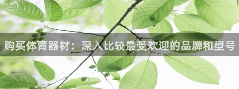星欧娱乐平台过7O777：购买体育器材：深入比较最受