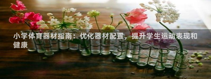星澳娱乐公司简介：小学体育器材指南：优化器材配置，提