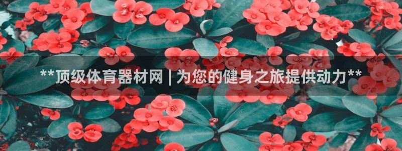 星欧娱乐还能玩吗