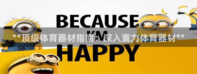 星欧娱乐联售后服务评价：**顶级体育器材指南：深入寰