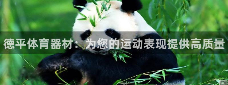 星欧娱乐平台道7O777：德平体育器材：为您的运动表