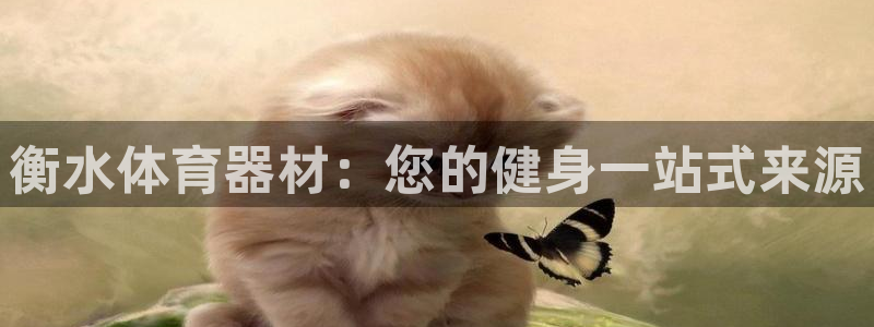 星欧娱乐官方客服联系方式是什么：衡水体育器材：您的健