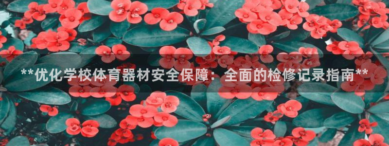 星欧娱乐平台怎么样知乎推荐：**优化学校体育器材安全