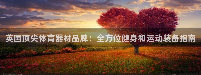 星欧娱乐公司：英国顶尖体育器材品牌：全方位健身和运动