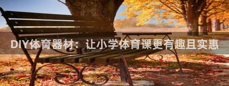 星娱乐online张译：DIY体育器材：让小学体育课
