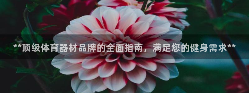 星欧娱乐的官方版本更新内容：**顶级体育器材品牌的全