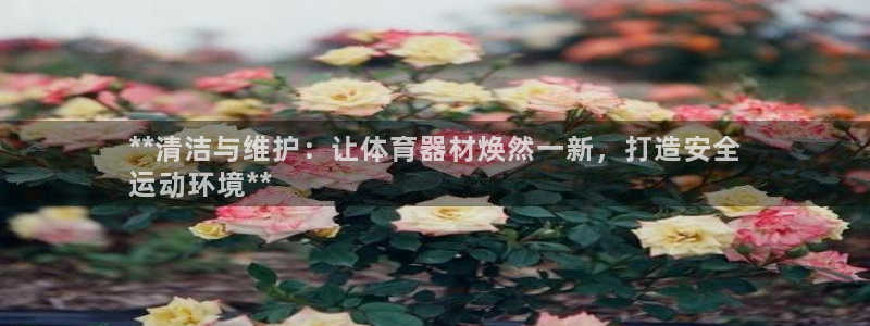 星欧娱乐最建议买的三个产品是什么呢：**清洁与维护：