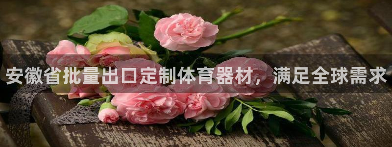 星欧娱乐游戏中心官网登录：安徽省批量出口定制体育器材