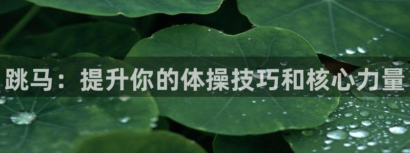 星欧娱乐属于什么档次的软件：跳马：提升你的体操技巧和