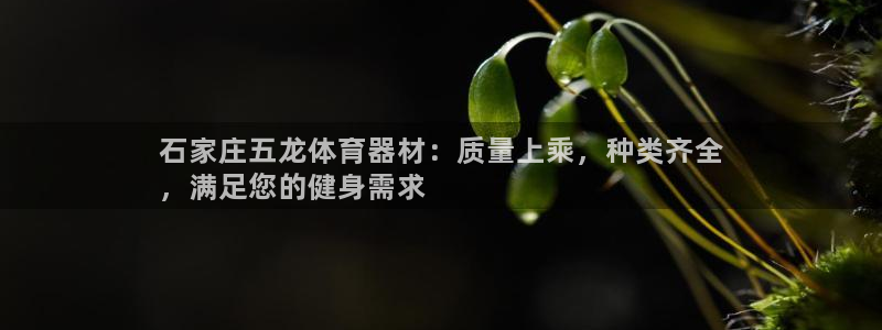 星欧娱乐平台怎么样啊可靠吗：石家庄五龙体育器材：质量
