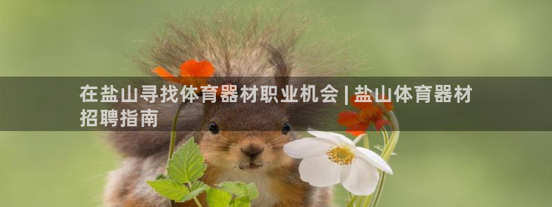 星欧娱乐测速：在盐山寻找体育器材职业机会 | 盐山体