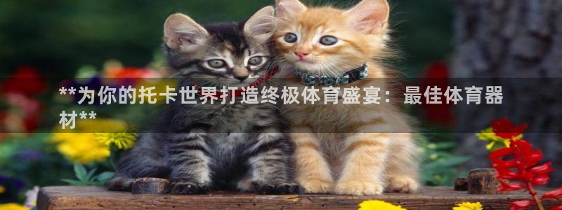 星欧娱乐彩票软件下载：**为你的托卡世界打造终极体育