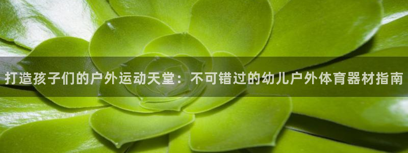 星澳娱乐公司简介：打造孩子们的户外运动天堂：不可错过