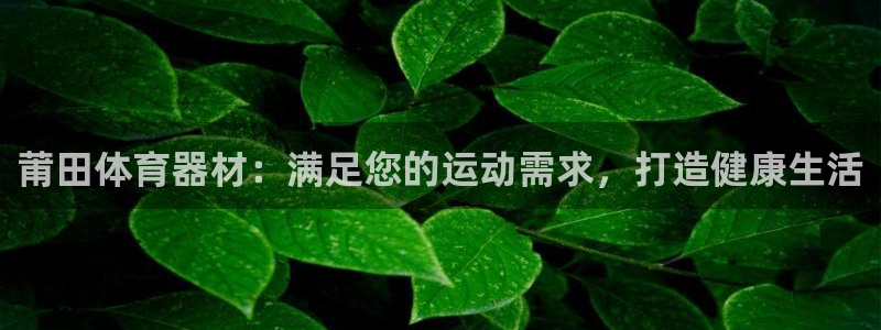 星欧娱乐最建议买的三个游戏：莆田体育器材：满足您的运