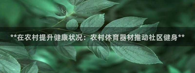 星欧娱乐还能玩吗：**在农村提升健康状况：农村体育器