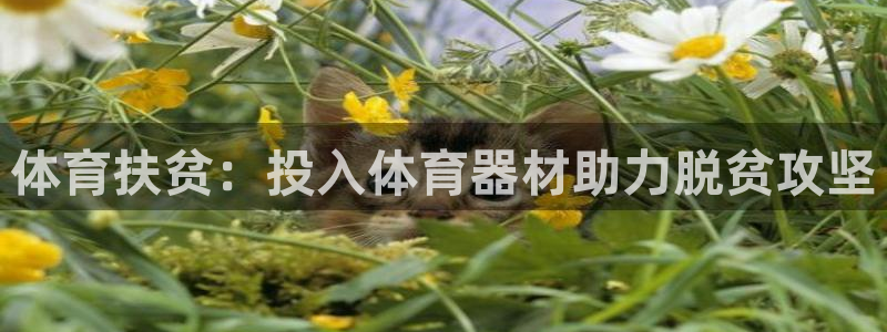 星欧娱乐平台怎么样啊知乎：体育扶贫：投入体育器材助力