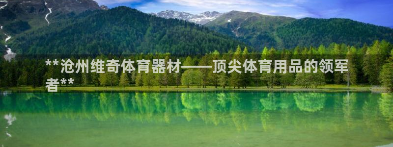 星娱乐online张译：**沧州维奇体育器材——顶尖