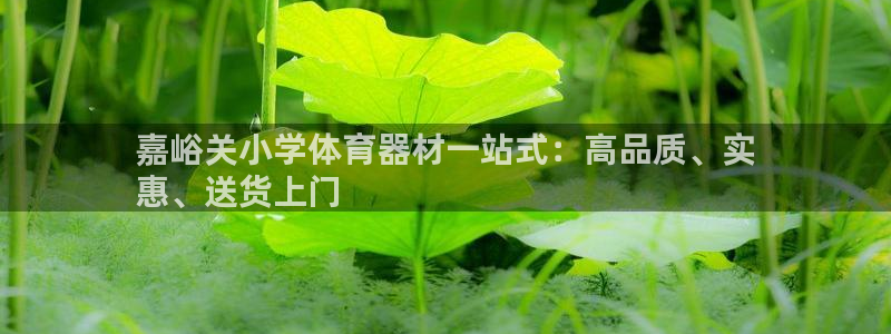 星欧娱乐扣款流程详解视频教程：嘉峪关小学体育器材一站