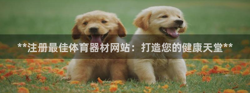 江苏星奥娱乐有限公司出过哪些艺人：**注册最佳体育器