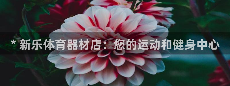 星奥娱乐微博：* 新乐体育器材店：您的运动和健身中心