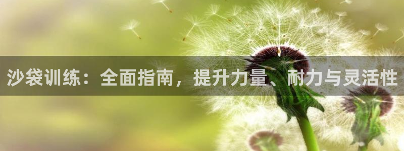 星欧娱乐平台怎么样可靠吗安全吗：沙袋训练：全面指南，