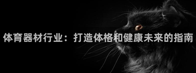 星欧娱乐挂机教程视频：体育器材行业：打造体格和健康未