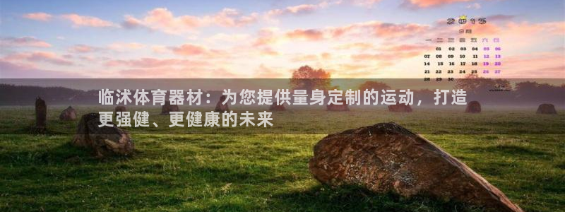星欧娱乐官方客服联系方式查询：临沭体育器材：为您提供