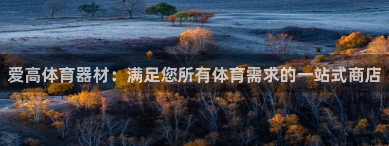 星欧娱乐游戏官网：爱高体育器材：满足您所有体育需求的