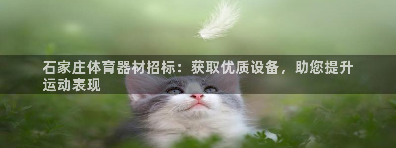 传奇星娱乐：石家庄体育器材招标：获取优质设备，助您提