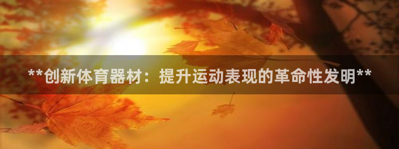星欧娱乐属于什么档次的公司啊：**创新体育器材：提升
