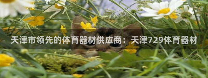 星欧娱乐平台怎么样知乎赚钱吗：天津市领先的体育器材供