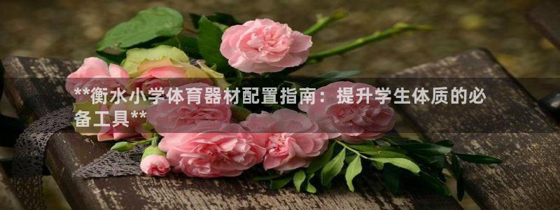 星欧娱乐的官方版本更新内容是什么：**衡水小学体育器