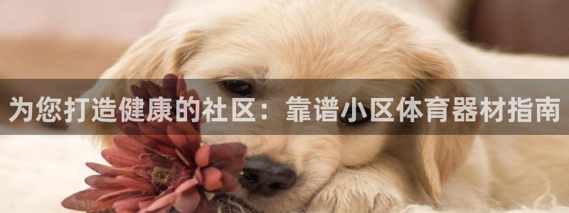 星欧娱乐平台测速线路怎么设置：为您打造健康的社区：靠
