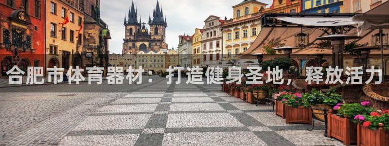 星欧娱乐公司电话号码查询：合肥市体育器材：打造健身圣