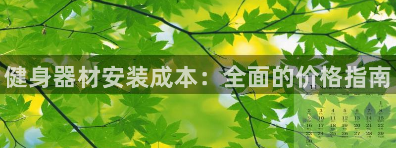 星娱乐文化传媒：健身器材安装成本：全面的价格指南